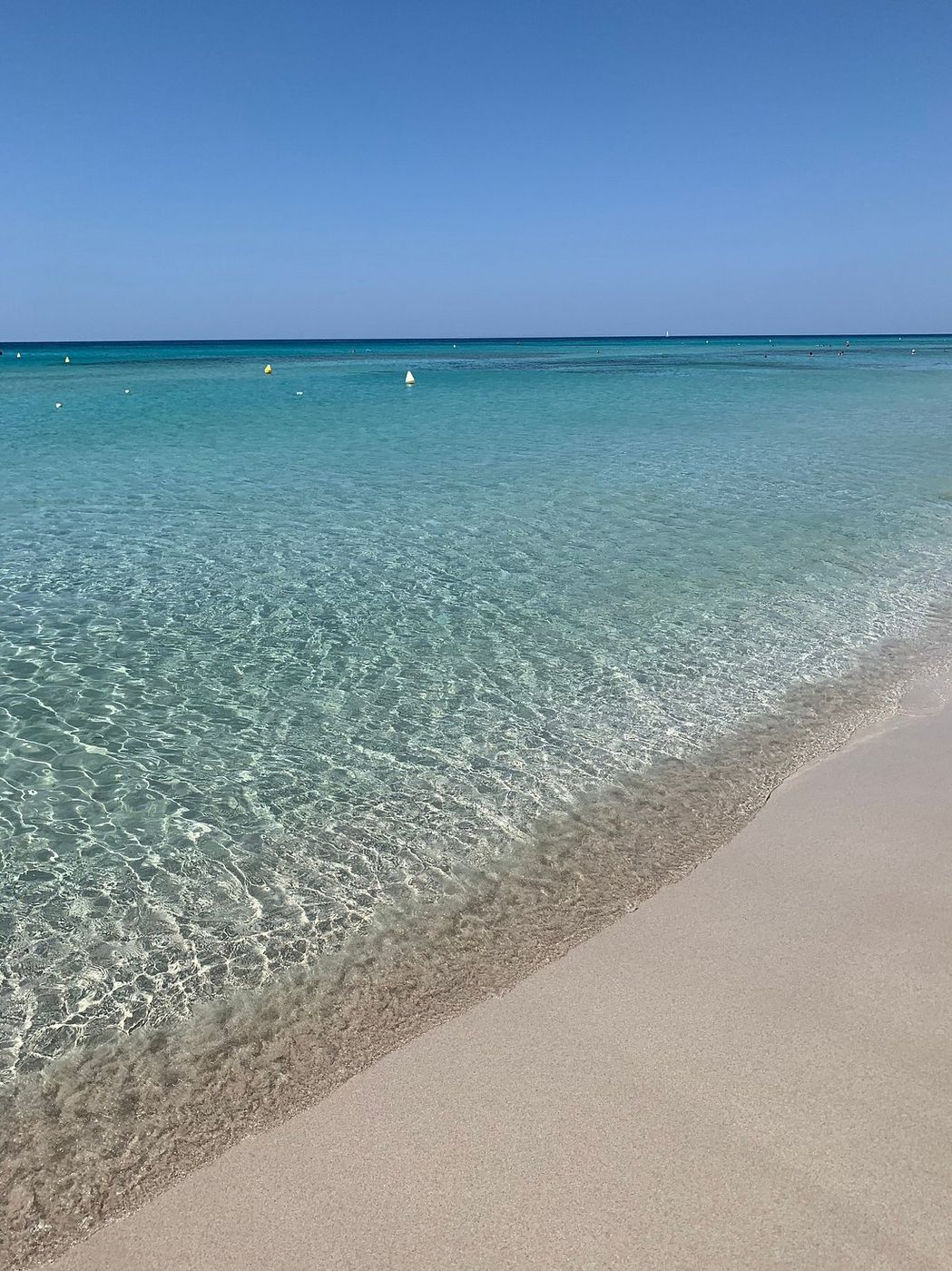 Turquoise water meeting pale sand