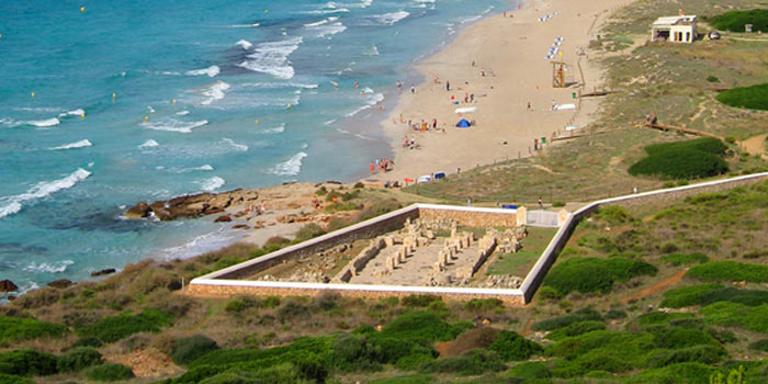 Aerial view of the basilica ruins beside Son Bou beach