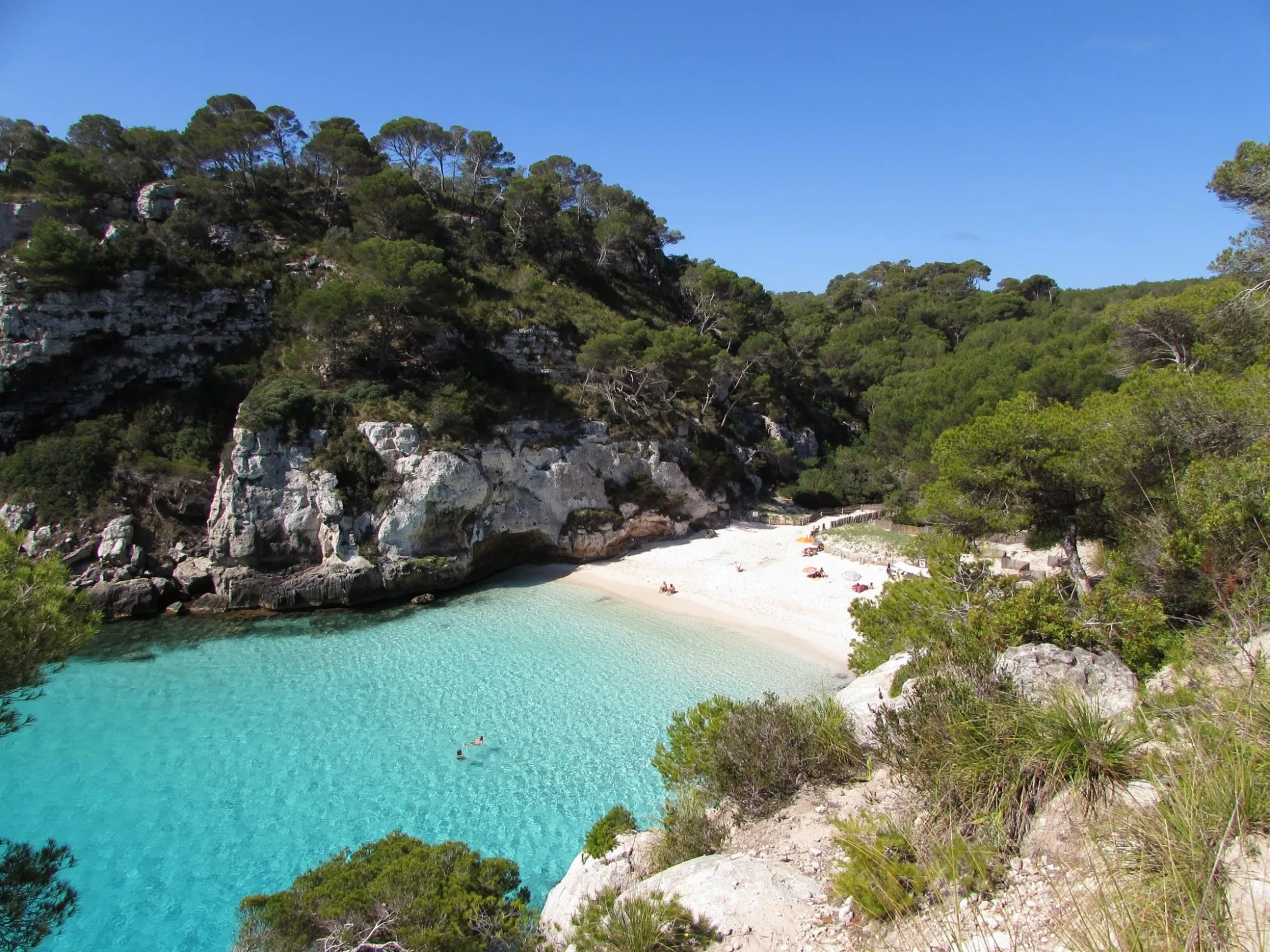 Cala Macarelleta, a small turquoise cove framed by pine-covered cliffs