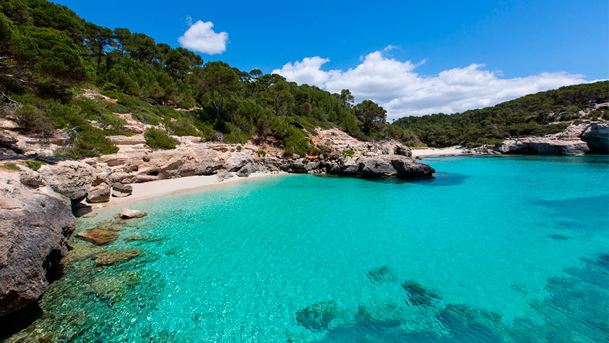 Cala Mitjana, a small cove framed by pine trees and cliffs