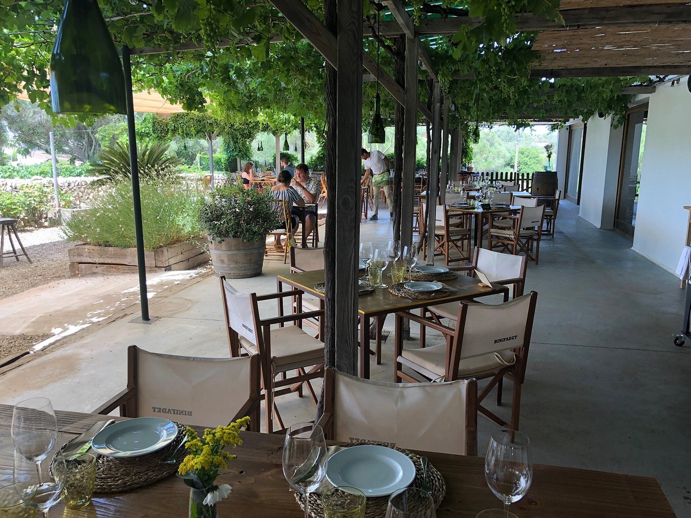 Bodegas Binifadet's vine-covered terrace
