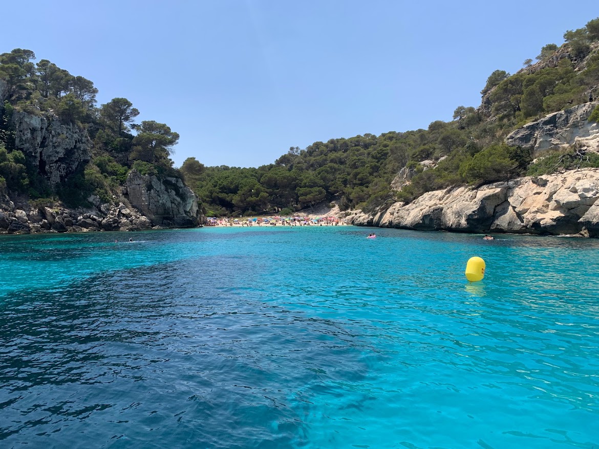 Turquoise cove ringed by pine-covered cliffs, seen from the boat