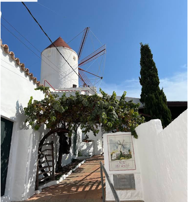 Entrance path to Molí d'es Racó with the windmill and vine trellis
