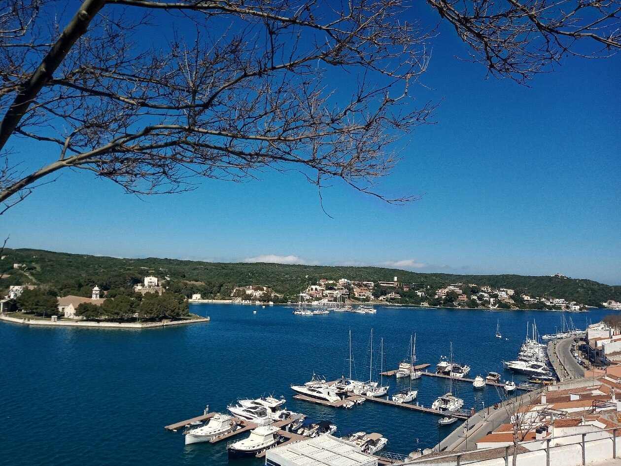 Maó's long natural harbour framed by bare tree branches